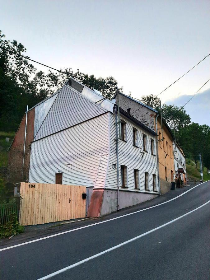 Casa Santini Villa Jáchymov Exteriör bild