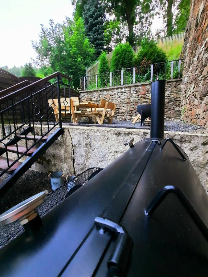 Casa Santini Villa Jáchymov Exteriör bild