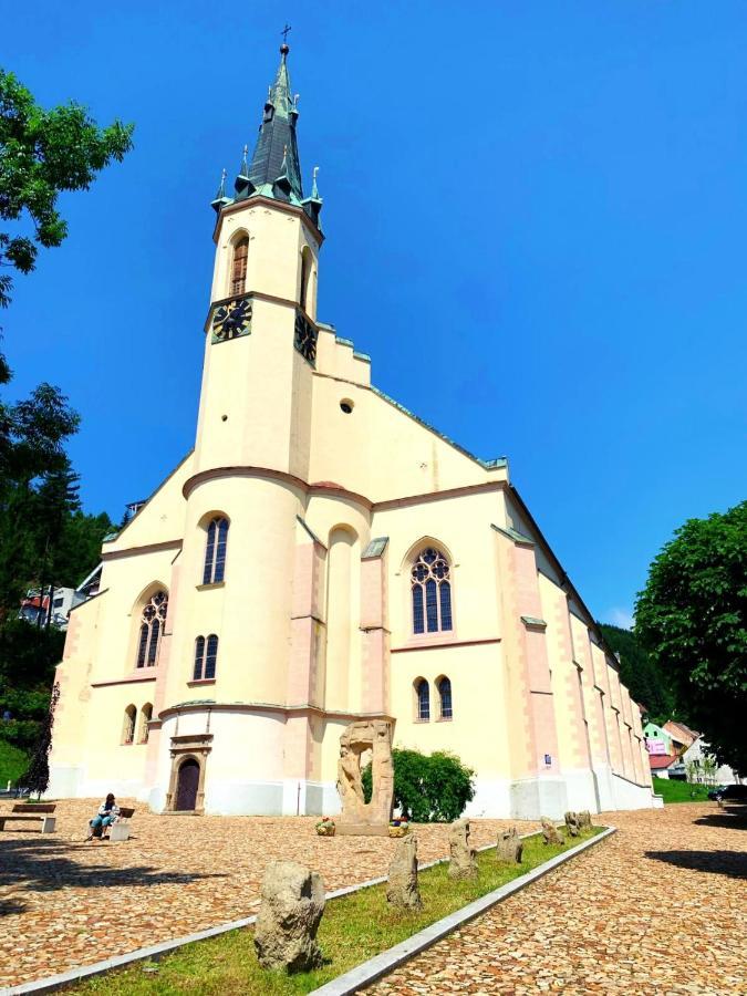 Casa Santini Villa Jáchymov Exteriör bild